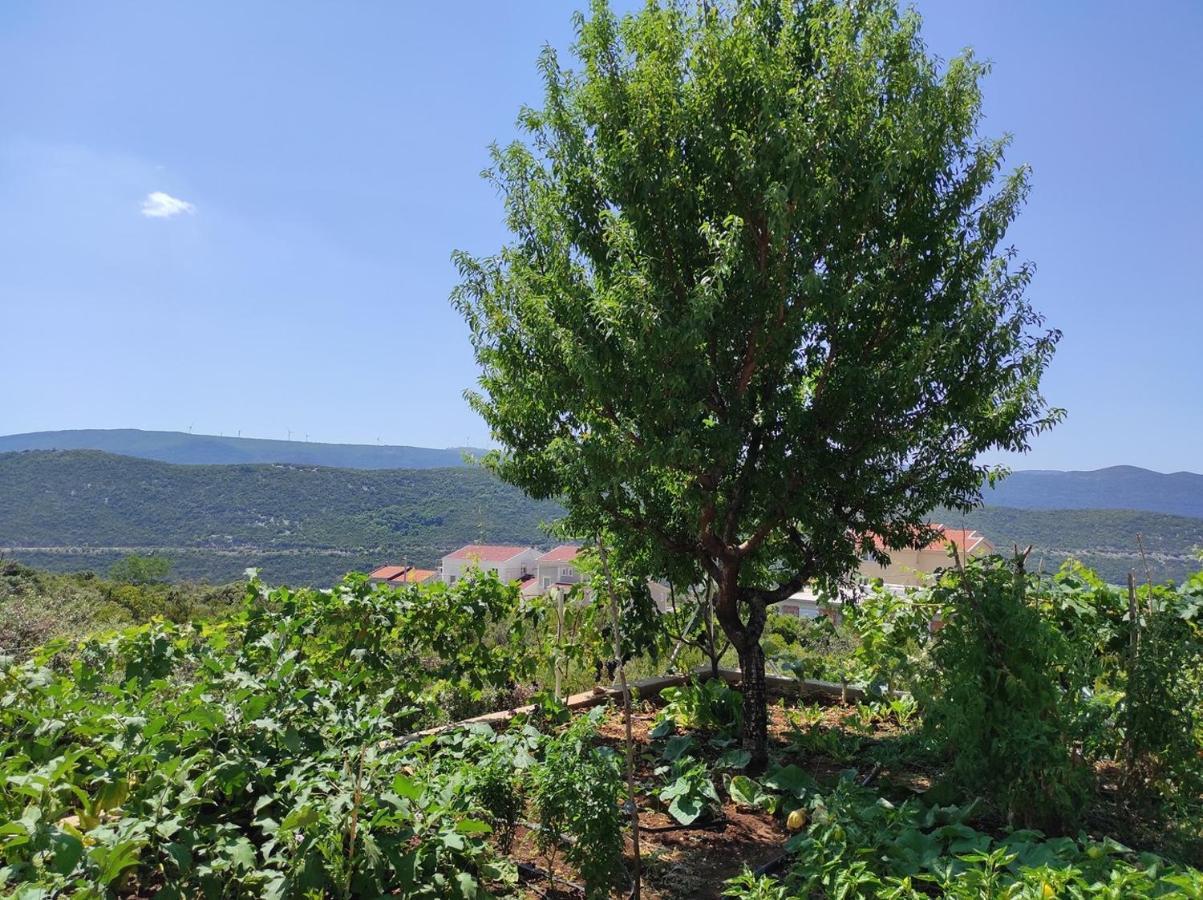 One Bedroom Apartment Gogo With Private Parking Neum Dış mekan fotoğraf